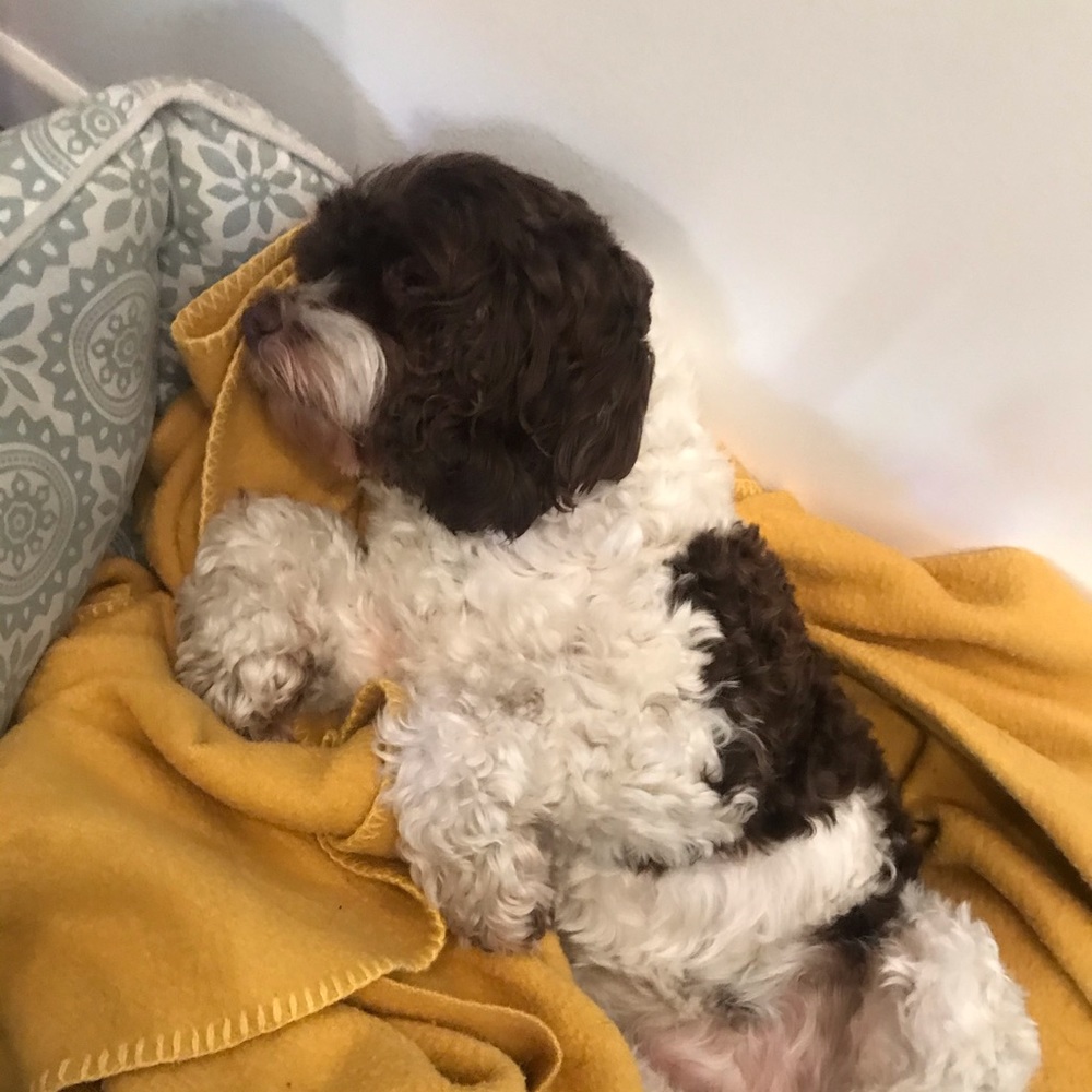 Meet your Posher, Rutna